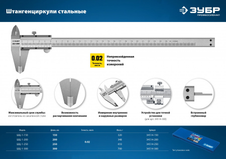 ЗУБР Профессионал Штангенциркуль стальной ШЦ-1-250, 250мм